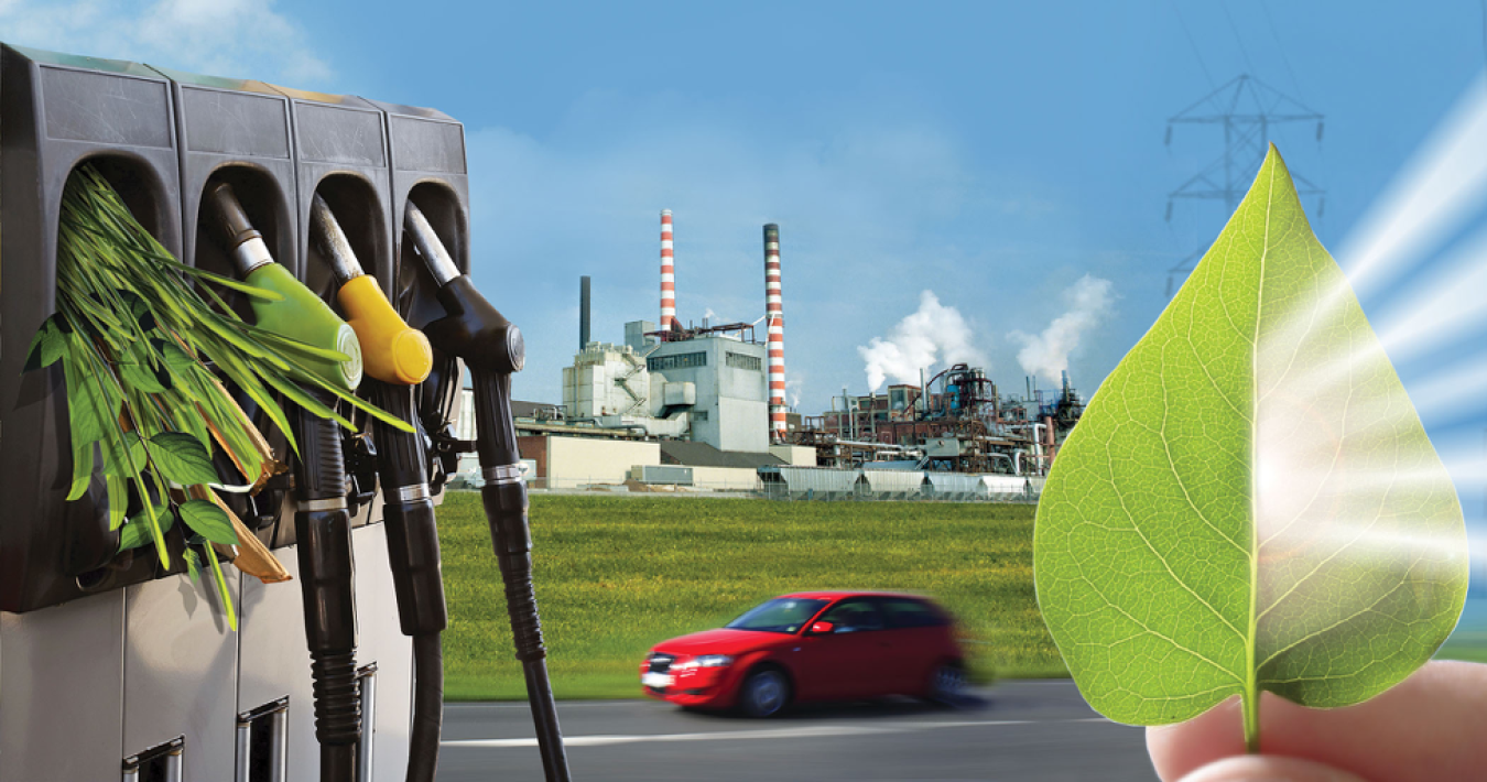 Bioenergy Production From Agricultural Waste